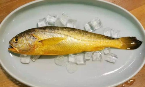 马蹄的营养成分和功效-马蹄有什么药用价值、马蹄营养值解析 -马蹄有什么营养价值网
