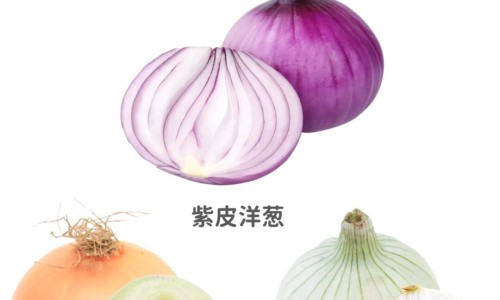 马蹄的营养成分和功效-马蹄有什么药用价值、马蹄营养值解析 -马蹄有什么营养价值网