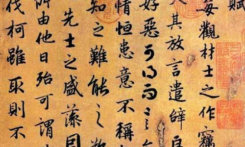 马蹄有什么药用价值-马蹄有什么药用价值、马蹄营养值解析 -马蹄有什么营养价值网